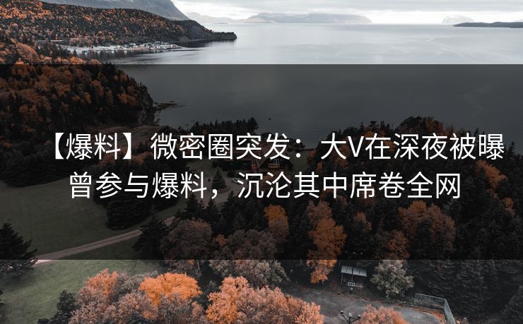 【爆料】微密圈突发:大V在深夜被曝曾参与爆料,沉沦其中席卷全网